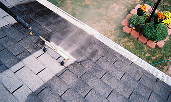 Roof Cleaning in Buffalo NY Roof Cleaning Services in Buffalo NY Roof Cleaning in NY Buffalo Clean the roof in Buffalo NY Roof Cleaner in Buffalo NY Roof Cleaner in NY Buffalo Quality Roof Cleaning in Buffalo NY Quality Roof Cleaning in NY Buffalo Professional Roof Cleaning in Buffalo NY Professional Roof Cleaning in NY Buffalo Roof Services in Buffalo NY Roof Services in NY Buffalo Roofing in Buffalo NY Roofing in NY Buffalo Clean the roof in Buffalo NY Cheap Roof Cleaning in Buffalo NY Cheap Roof Cleaning in NY Buffalo Estimates on Roof Cleaning in Buffalo NY Estimates in Roof Cleaning in NY Buffalo Free Estimates in Roof Cleaning in Buffalo NY Free Estimates in Roof Cleaning in NY Buffalo